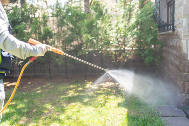 Best Pest Prevention Services  in Terrell Hills, TX